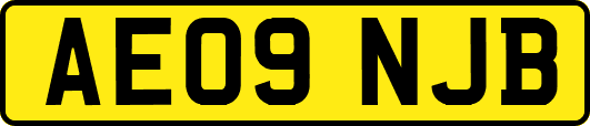 AE09NJB