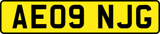 AE09NJG