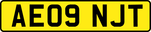 AE09NJT