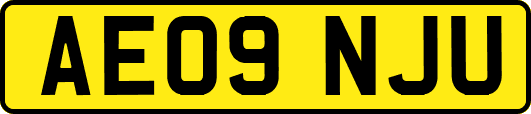 AE09NJU