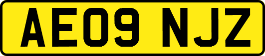 AE09NJZ