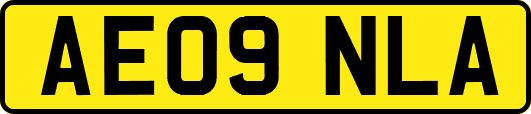 AE09NLA