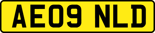 AE09NLD