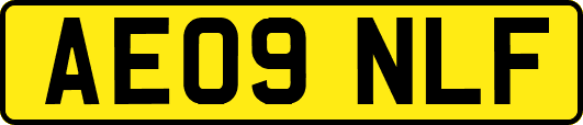 AE09NLF