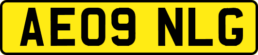 AE09NLG