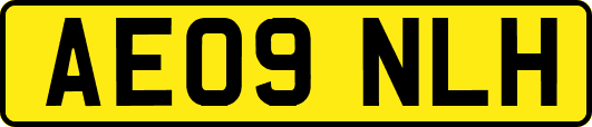 AE09NLH