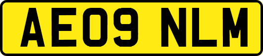 AE09NLM