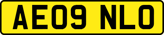 AE09NLO