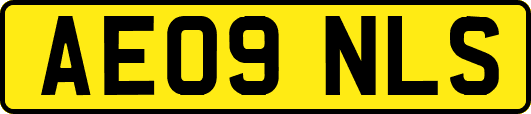 AE09NLS