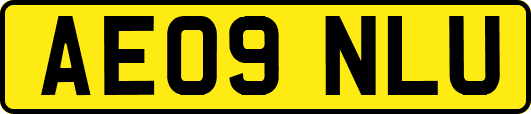 AE09NLU