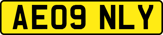 AE09NLY