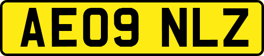 AE09NLZ