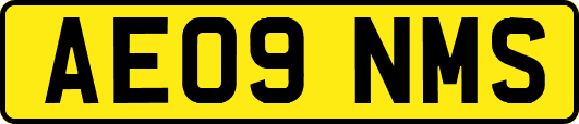 AE09NMS