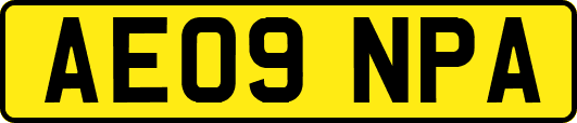 AE09NPA