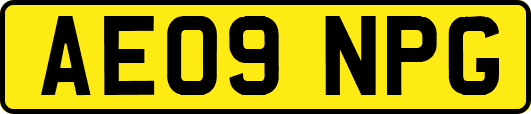 AE09NPG