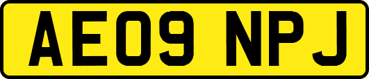 AE09NPJ