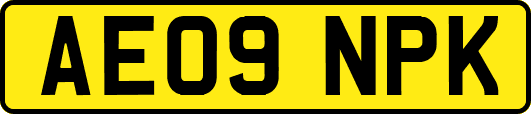 AE09NPK