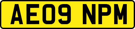 AE09NPM