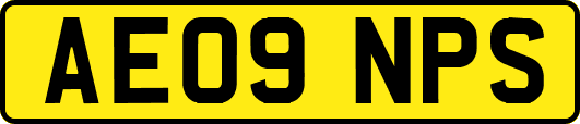 AE09NPS