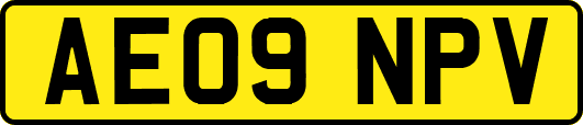 AE09NPV