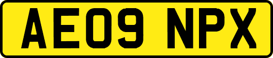 AE09NPX