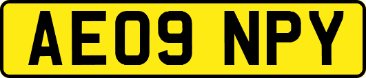 AE09NPY