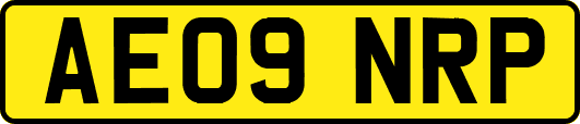 AE09NRP