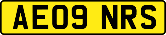 AE09NRS