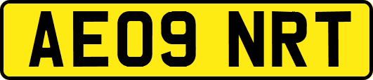 AE09NRT