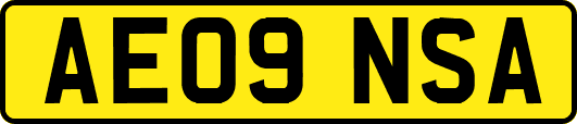 AE09NSA