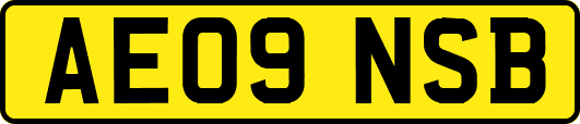 AE09NSB