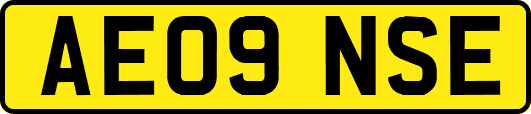 AE09NSE
