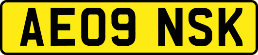 AE09NSK