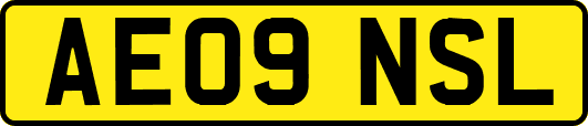 AE09NSL