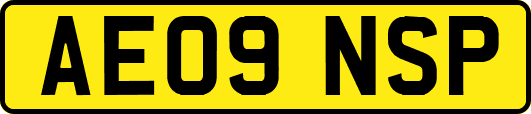 AE09NSP