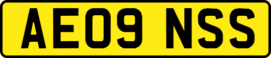 AE09NSS