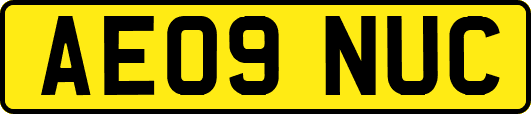 AE09NUC