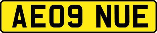 AE09NUE