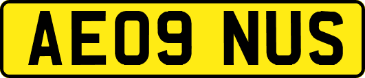 AE09NUS