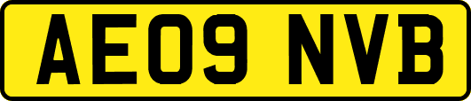 AE09NVB