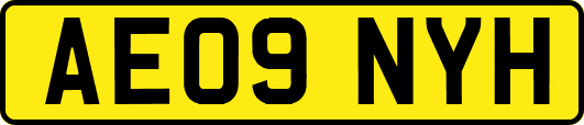 AE09NYH