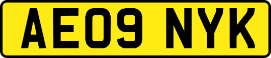 AE09NYK