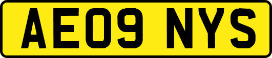 AE09NYS