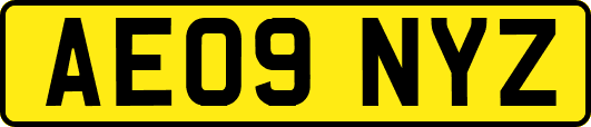 AE09NYZ