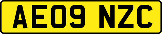 AE09NZC