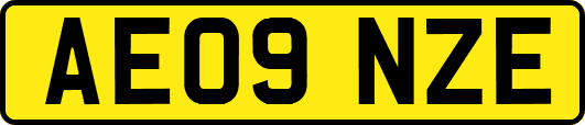 AE09NZE