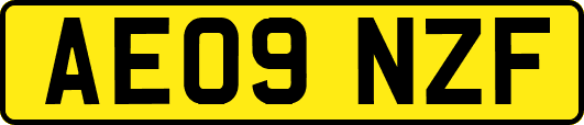 AE09NZF
