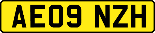 AE09NZH