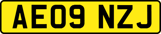 AE09NZJ
