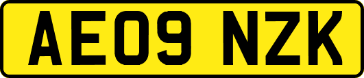 AE09NZK